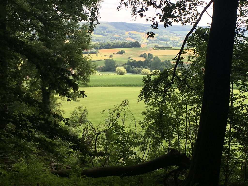 Home IMG 0165 1024x768 1