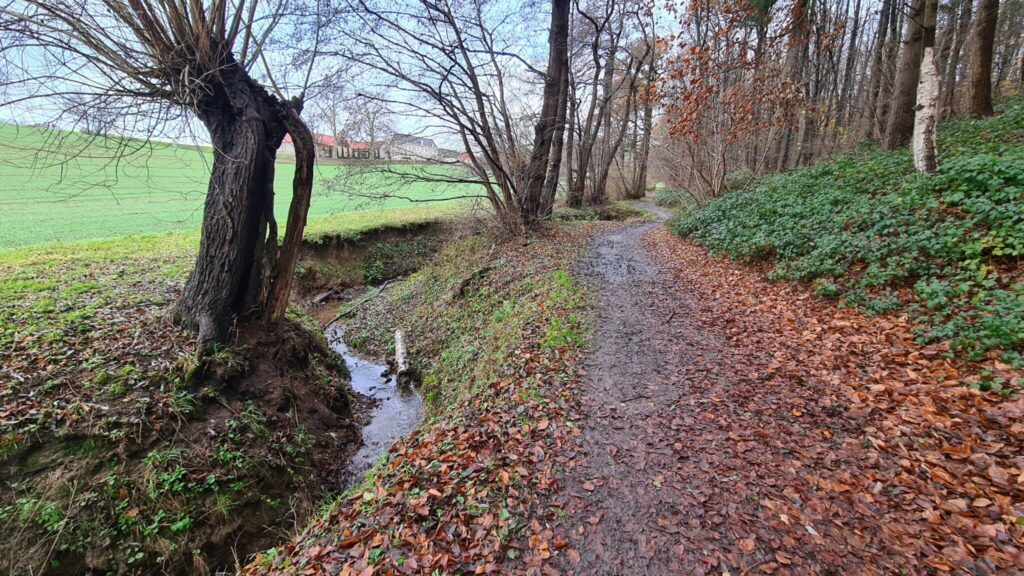 nl ravenbosch2 by theo buijsrogge 2048x1152 nl ravenbosch2 by theo buijsrogge 2048x1152