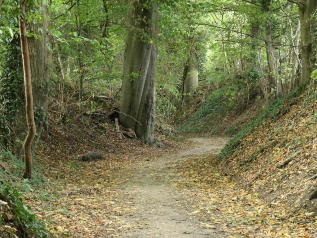 Home Foto106036b 1024x768